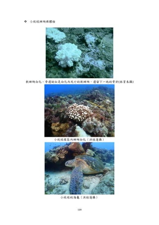 109
 小琉球珊瑚礁體檢
軟珊瑚白化。旁邊疑似是白化而死亡的軟珊瑚，遺留下一地的骨針(林育朱攝)
小琉球樣區內珊瑚白化（洪桂蓮攝）
小琉球的海龜（洪桂蓮攝）
 