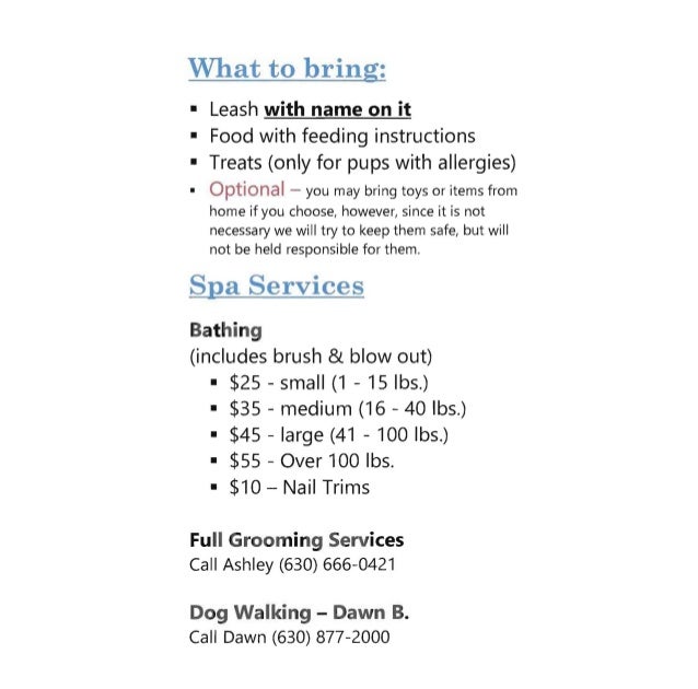 pet sitting instructions