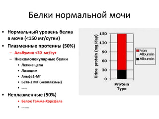 Белки нормальной мочи
• Нормальный уровень белка
в моче (<150 мг/сутки)
• Плазменные протеины (50%)
– Альбумин <30 мг/сут
– Низкомолекулярные белки
• Легкие цепи
• Лизоцим
• Альфа1-МГ
• Бета-2 МГ (неоплазмы)
• ……
• Неплазменные (50%)
• Белок Тамма-Хорсфала
• ……..
 