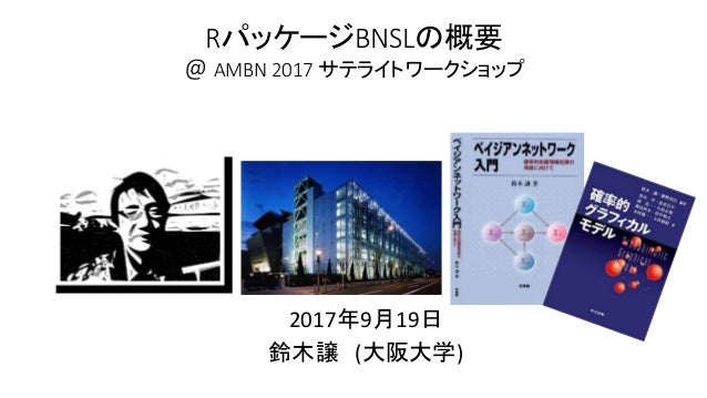 cran rパッケージ bnslの概要