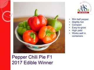 Pepper Chili Pie F1
2017 Edible Winner
• Mini bell pepper
• Slightly hot
• Compact
• Easy-to-grow
• High yield
• Works well in
containers
 