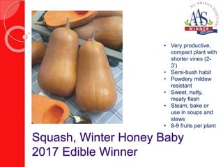 Squash, Winter Honey Baby
2017 Edible Winner
• Very productive,
compact plant with
shorter vines (2-
3’)
• Semi-bush habit
• Powdery mildew
resistant
• Sweet, nutty,
meaty flesh
• Steam, bake or
use in soups and
stews
• 8-9 fruits per plant
 