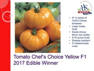 Tomato Chef’s Choice Yellow F1
2017 Edible Winner
• 4th in series of
Chef’s Choice
tomatoes
• Large meaty
fruits
• Sweet citrusy
flavor, low acidity
• 9-10 ounce fruits
• Disease resistant
• 5’ indeterminate
vines
 