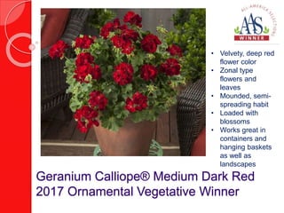 Geranium Calliope® Medium Dark Red
2017 Ornamental Vegetative Winner
• Velvety, deep red
flower color
• Zonal type
flowers and
leaves
• Mounded, semi-
spreading habit
• Loaded with
blossoms
• Works great in
containers and
hanging baskets
as well as
landscapes
 