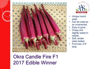 Okra Candle Fire F1
2017 Edible Winner
• Unique round
pods.
• Can be used as
an ornamental.
• Easy to grow.
• Crispy and
slightly sweet in
salads,
• Soft, tender
when boiled.
• Fruit size: 4-5”
long
 