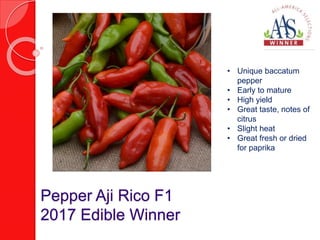 Pepper Aji Rico F1
2017 Edible Winner
• Unique baccatum
pepper
• Early to mature
• High yield
• Great taste, notes of
citr...