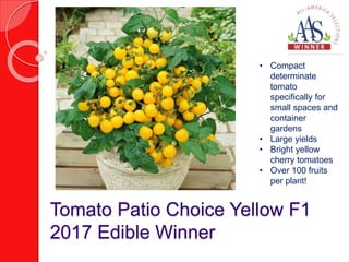 Tomato Patio Choice Yellow F1
2017 Edible Winner
• Compact
determinate
tomato
specifically for
small spaces and
container
...