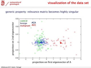 AlCoB, June 2017, Aveiro / Portugal
visualization of the data set
ACA
ACC
generic property: relevance matrix becomes highly singular
 