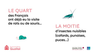 LE QUART
des Français
ont déjà eu la visite
de rats ou de souris…
LA MOITIÉ
d’insectes nuisibles
(cafards, punaises,
puces...)
 
