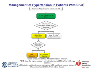 Management of Hypertension in Patients With CKD
•Colors correspond to Class of Recommendation in Table 1.
•*CKD stage 3 or higher or stage 1 or 2 with albuminuria ≥300 mg/d or ≥300 mg/g
creatinine.
•ACE indicates angiotensin-converting enzyme; ARB, angiotensin receptor blocker; BP
blood pressure; and CKD, chronic kidney disease.
Treatment of hypertension in patients with CKD
Albuminuria
(≥300 mg/d or ≥300 mg/g
creatinine)
ACE inhibitor*
(Class IIa)
Yes
Usual “first-line”
medication choices
ACE inhibitor
(Class IIa)
ARB*
(Class IIb)
No
Yes
ACE inhibitor
intolerant
No
BP goal <130/80 mm Hg
(Class I)
 