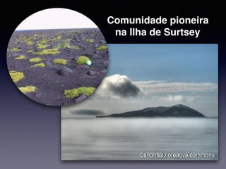 Peixe-boi
CanonS2 / creative commons
Comunidade pioneira
na Ilha de Surtsey
 