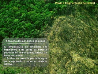 Alteração das condições abióticas
A temperatura do ambiente em
fragmentos e na borda da ﬂoresta
pode ser 8oC maior que no interior da
ﬂoresta contínua .
Acelera as taxas de perda de água
por evaporação e reduz a umidade
relativa.
Perda e fragmentação de habitat
 