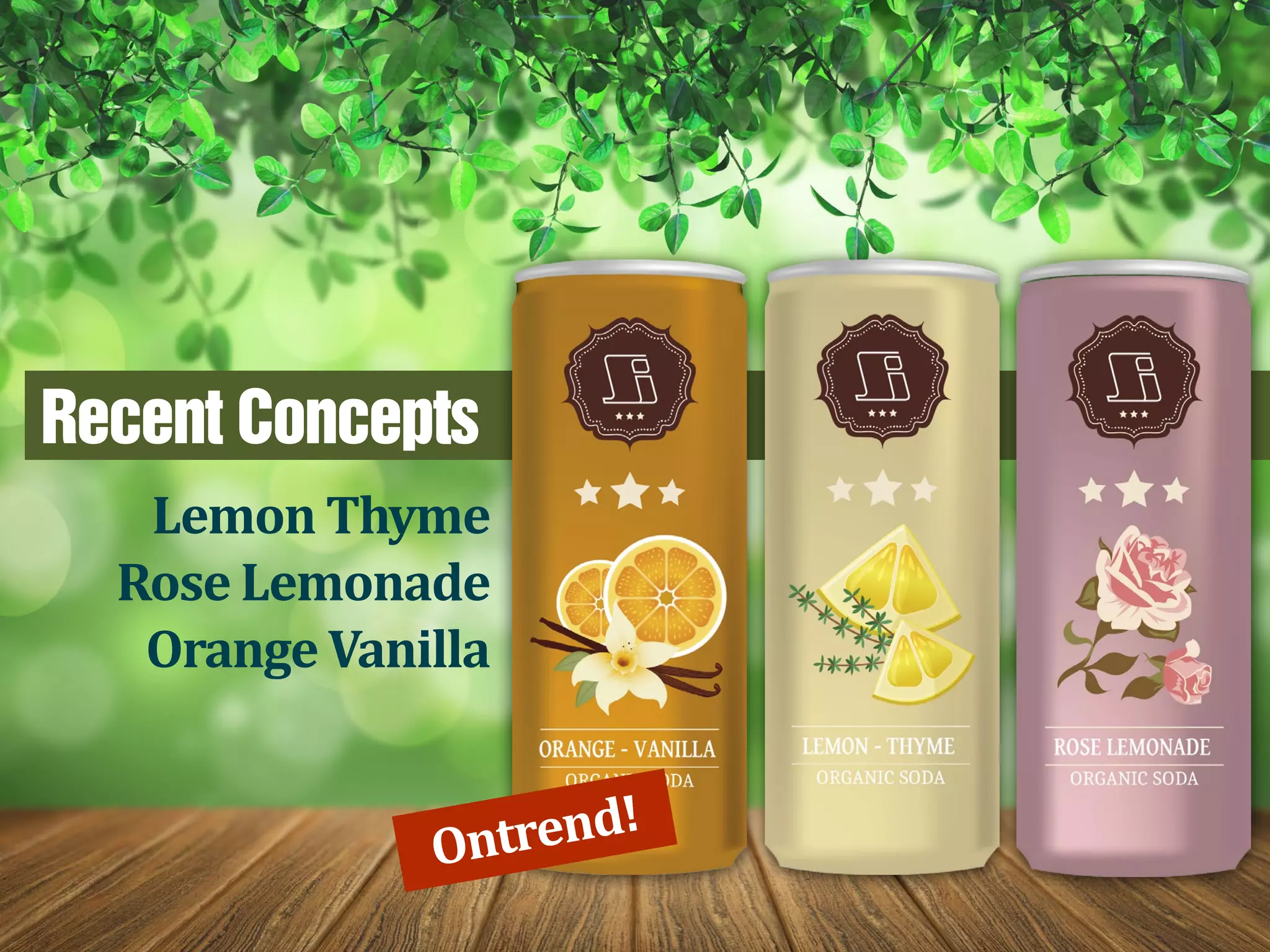 Lemon Thyme
Rose Lemonade
Orange Vanilla
Recent Concepts
Ontrend!
 