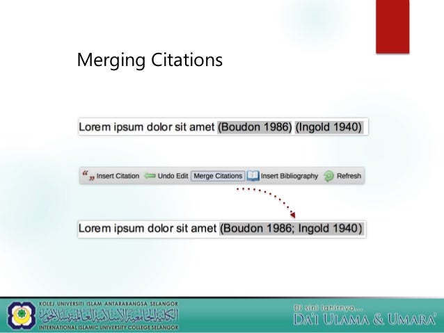 Crash Course MS Word + Mendeley