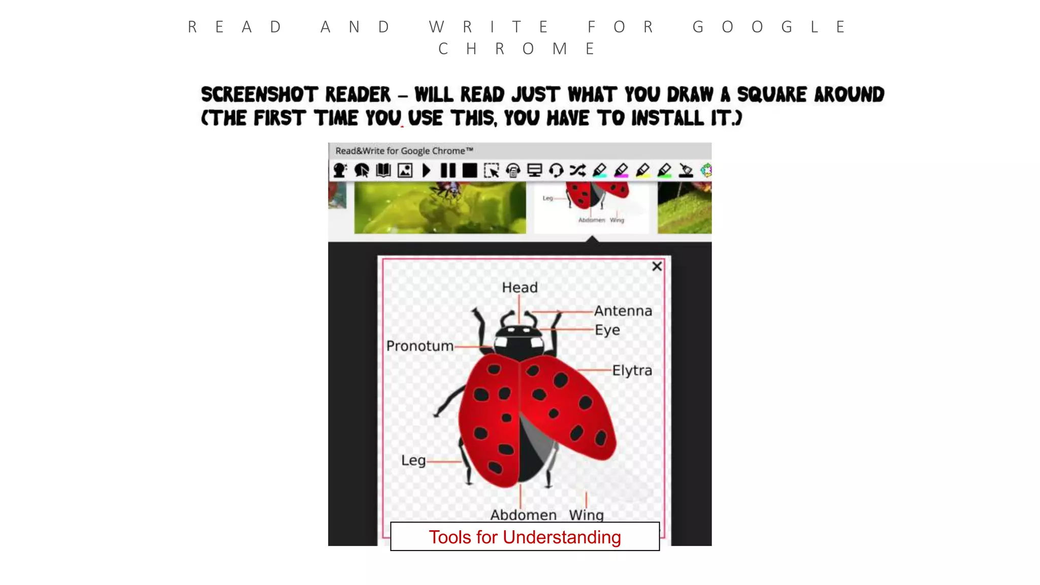 R E A D A N D W R I T E F O R G O O G L E
C H R O M E
Tools for Understanding
 