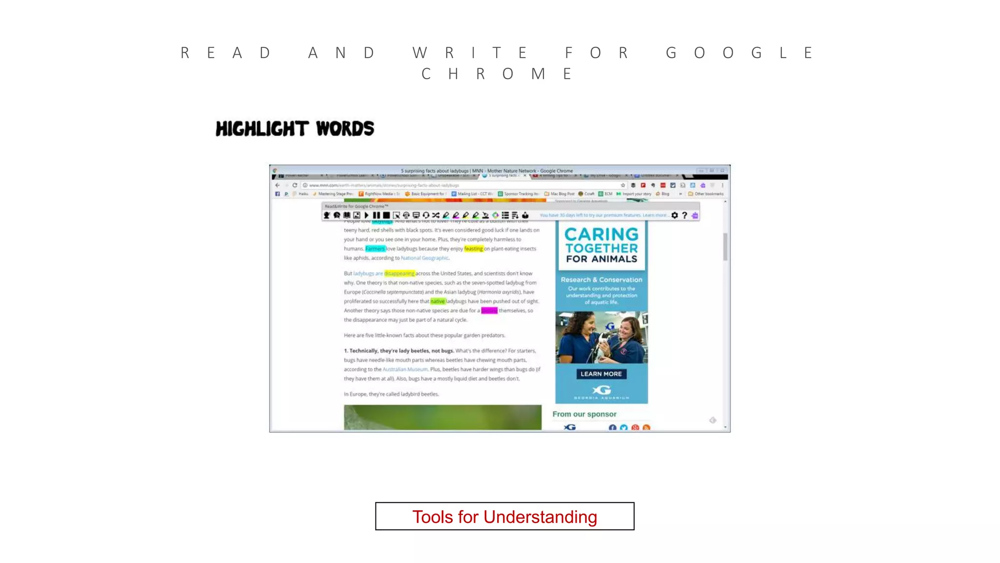 R E A D A N D W R I T E F O R G O O G L E
C H R O M E
Tools for Understanding
 