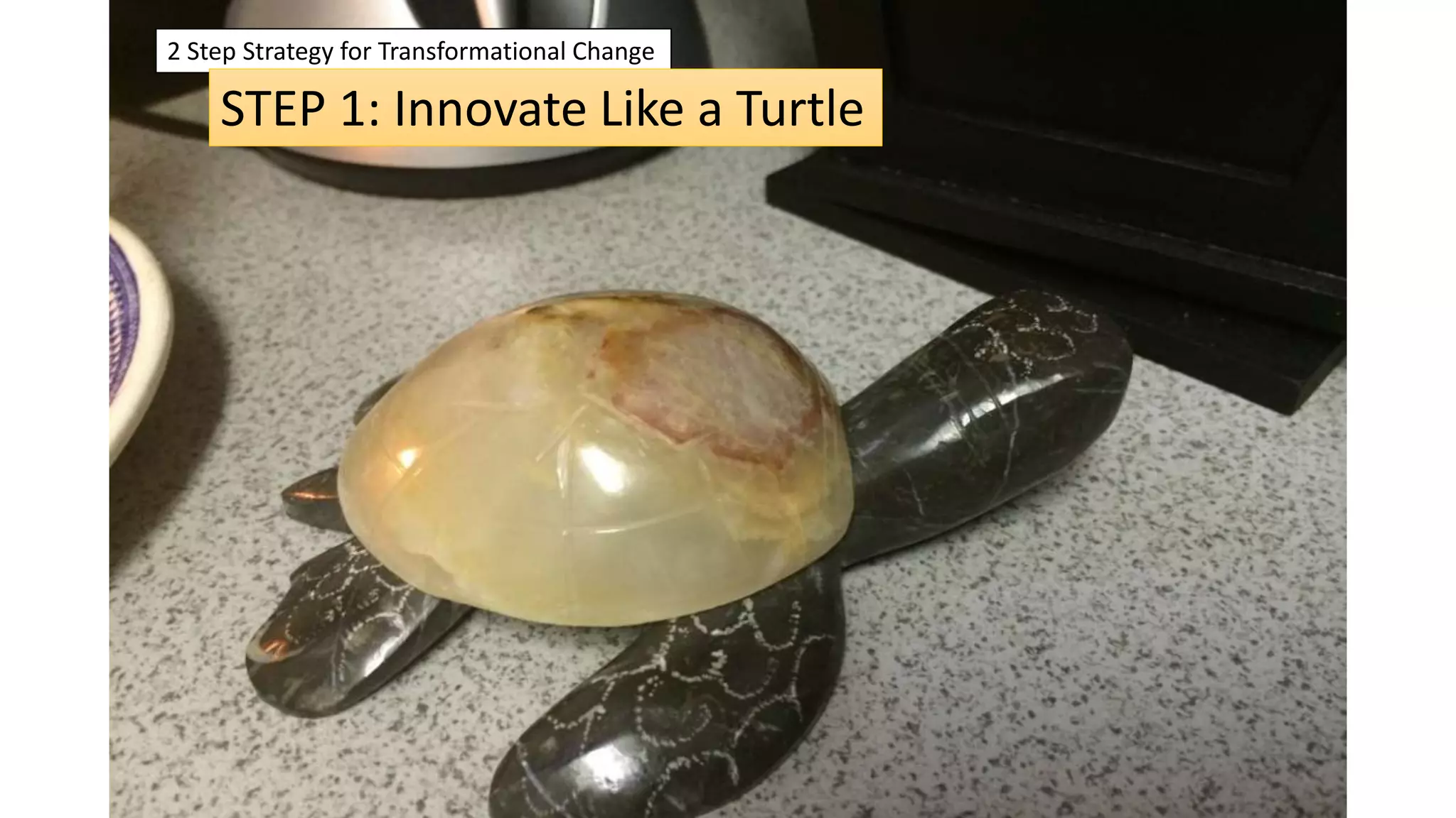 2 Step Strategy for Transformational Change
STEP 1: Innovate Like a Turtle
 