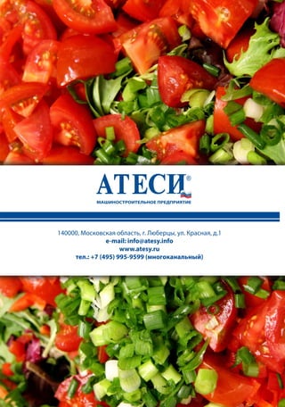 140000, Московская область, г. Люберцы, ул. Красная, д.1
e-mail: info@atesy.info
www.atesy.ru
тел.: +7 (495) 995-9599 (многоканальный)
 