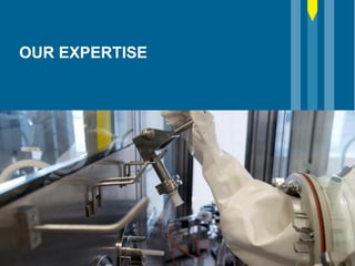 OUR EXPERTISE
 