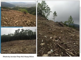 20170119原住民土地權利如何在國土計畫中實踐