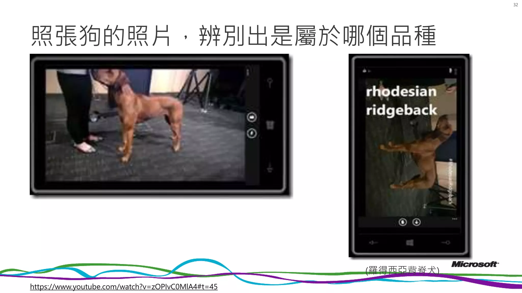 照張狗的照片，辨別出是屬於哪個品種
32
(羅得西亞背脊犬)
https://www.youtube.com/watch?v=zOPIvC0MlA4#t=45
 