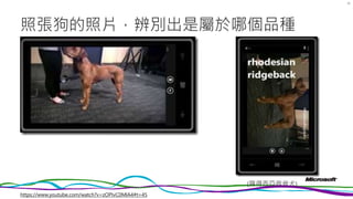 照張狗的照片，辨別出是屬於哪個品種
32
(羅得西亞背脊犬)
https://www.youtube.com/watch?v=zOPIvC0MlA4#t=45
 