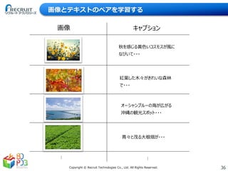 36Copyright © Recruit Technologies Co., Ltd. All Rights Reserved.
画像とテキストのペアを学習する
秋を感じる黄色いコスモスが風に
なびいて・・・
紅葉した木々がきれいな森林
で・・・
オーシャンブルーの海が広がる
沖縄の観光スポット・・・
青々と茂る大根畑が・・・
︙ ︙
画像 キャプション
 