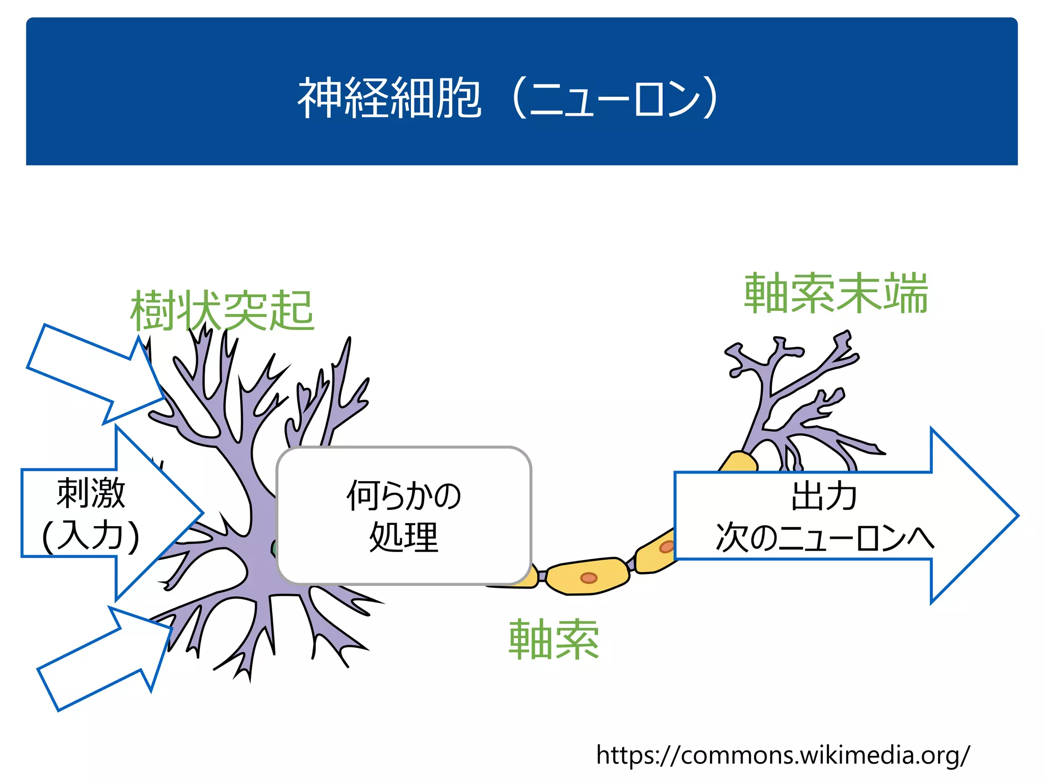 従って，他のパターンとの関係（類似度）でも
最近傍識別は可能
柿との
類似度
車との類似度
先程の状況
 