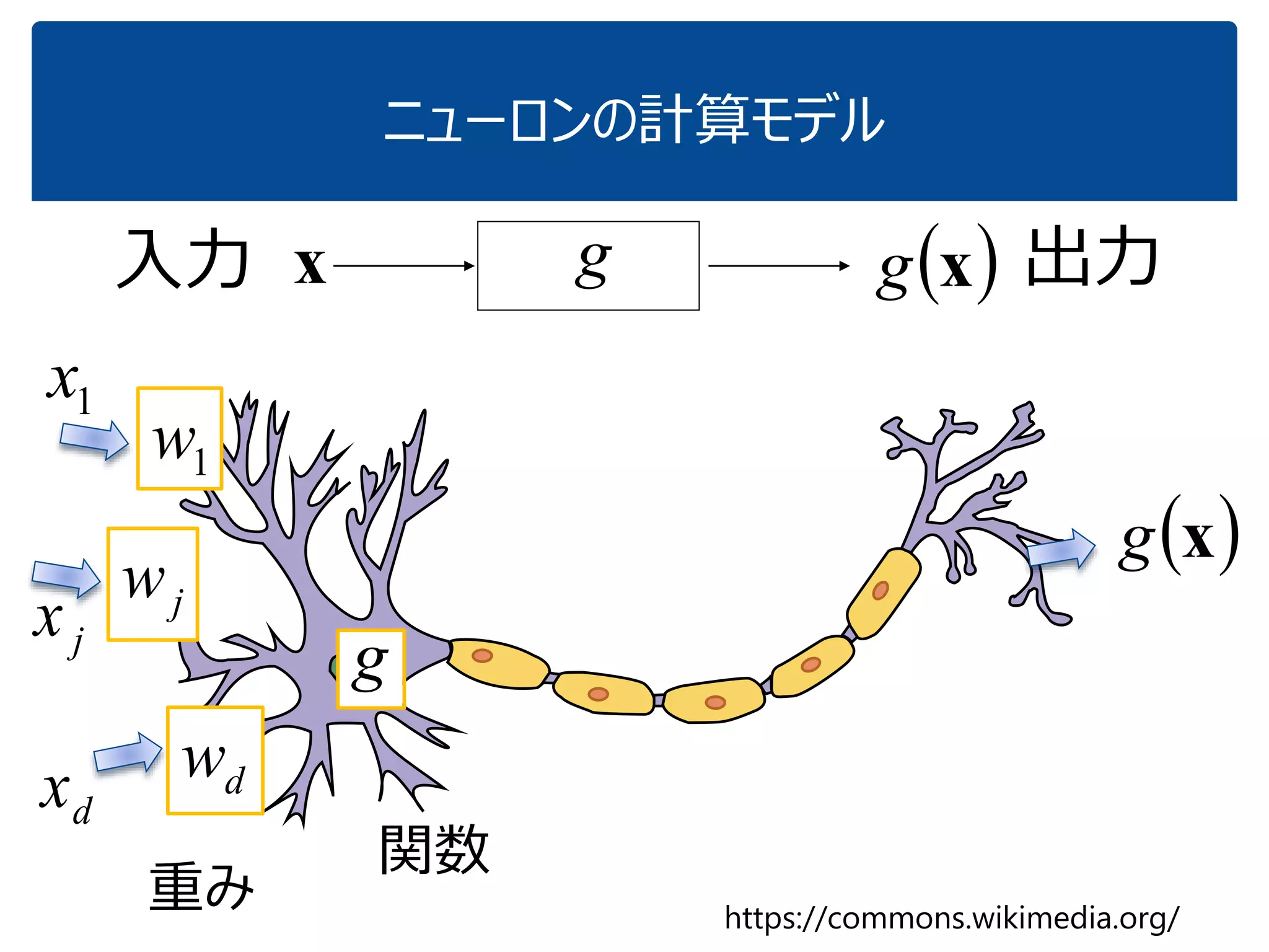 さて，ニューロンが
「内積」と関係あるという話
専門家の皆さん，色々言いたいことはあると思いますが...
19
 