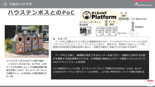 今後のPoCの予定
41
ハ ウ ス テ ン ボ ス と の Po C
パーク内ゴミ箱に、集積量を測定できるセンサーを取り付け、自動的に回収する仕組
みを構築する実証実験を行うため、計測機器の通信およびデータ連携システムにさくら
のIoTプラットフォームを採用
※LTE通信モジュールの他、さくらインターネットで開発中の920MHz（LoRa）および
2.4GHzのゲートウェイ型モジュールも活用し、より良い利用方法についても検証を進める
※ハウステンボスのIoTへの取り組み
ハウステンボス社では、IoTやAI、ロボ
ティクスを活用しユニークな顧客体験の創
造を目指しており、さくらインターネット
の通信モジュールを活用した実証実験もそ
の一環
■ イメージ
パーク内に設置されたゴミ箱に計測機器を取り付け、さくらのIoTプラットフォームに送付、
コグニティブコンピューティングシステムに送付し、解析する。将来的にはAIによって常に
最適な回収経路を自動回収車に指示し、収集が自動的に実施される仕組みを目指す。
青
黄
赤
データ
連携
回収指示
データ
通信
さくらインターネット
提供範囲
 