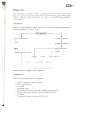 OBSTECTRICIA ILUSTRADA TERCERA PARTE