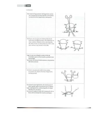 OBSTECTRICIA ILUSTRADA TERCERA PARTE