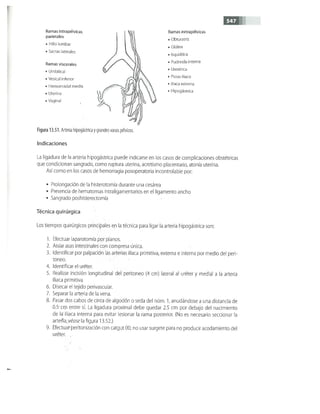 OBSTECTRICIA ILUSTRADA TERCERA PARTE