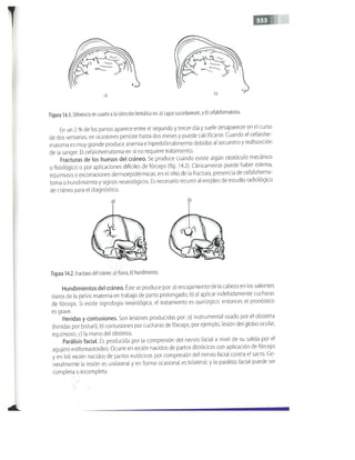 OBSTECTRICIA ILUSTRADA TERCERA PARTE