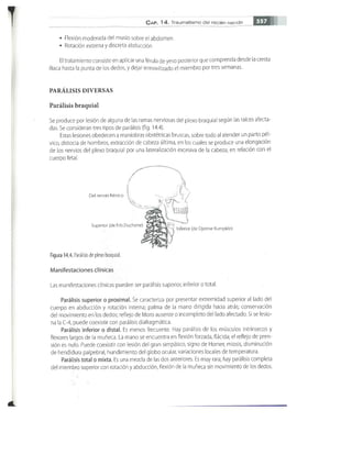 OBSTECTRICIA ILUSTRADA TERCERA PARTE