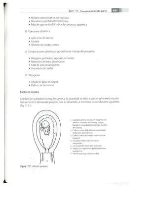 OBSTECTRICIA ILUSTRADA TERCERA PARTE