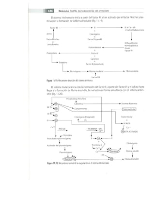OBSTECTRICIA ILUSTRADA TERCERA PARTE
