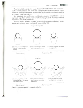 OBSTECTRICIA ILUSTRADA TERCERA PARTE
