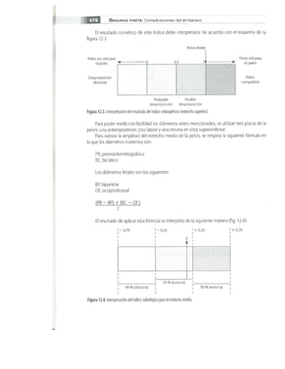 OBSTECTRICIA ILUSTRADA TERCERA PARTE