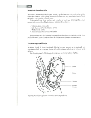 OBSTECTRICIA ILUSTRADA TERCERA PARTE