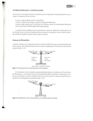OBSTECTRICIA ILUSTRADA TERCERA PARTE
