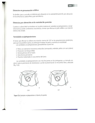 OBSTECTRICIA ILUSTRADA TERCERA PARTE