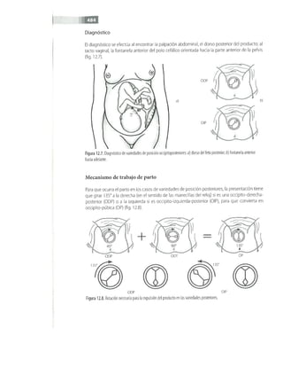 OBSTECTRICIA ILUSTRADA TERCERA PARTE