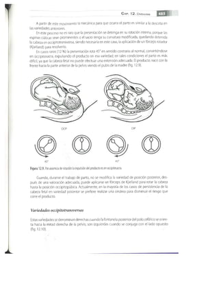OBSTECTRICIA ILUSTRADA TERCERA PARTE