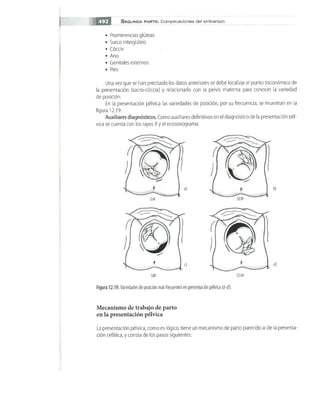 OBSTECTRICIA ILUSTRADA TERCERA PARTE