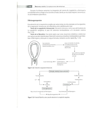 OBSTECTRICIA ILUSTRADA TERCERA PARTE