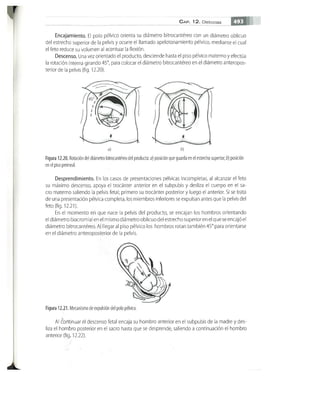 OBSTECTRICIA ILUSTRADA TERCERA PARTE
