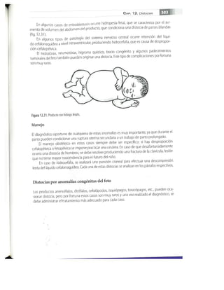 OBSTECTRICIA ILUSTRADA TERCERA PARTE