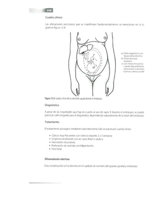 OBSTECTRICIA ILUSTRADA TERCERA PARTE