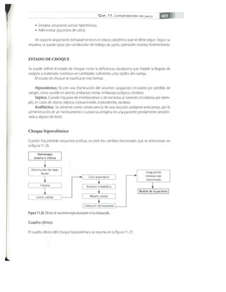 OBSTECTRICIA ILUSTRADA TERCERA PARTE